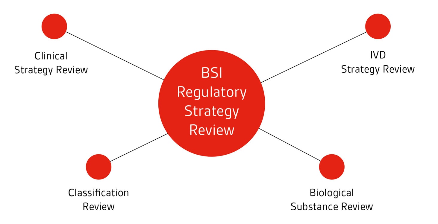 Regulatory Strategy Review For Medical Devices In Europe | BSI Group