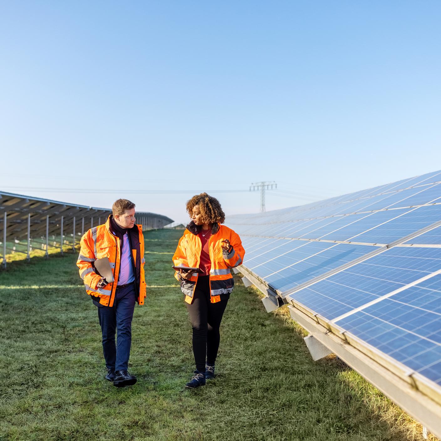 solar panels in field