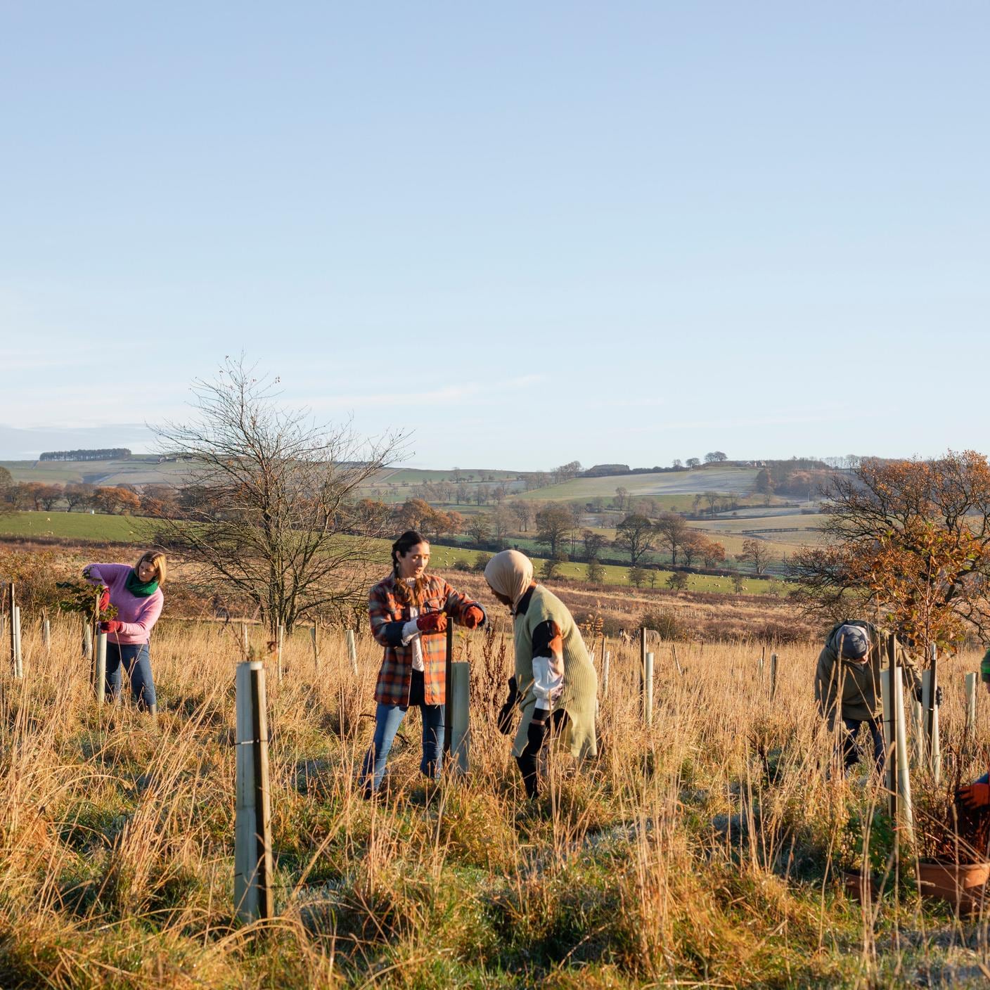 Workers performing sustainable and environmentally friendly tasks.