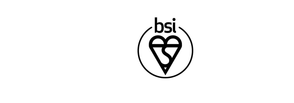 BSI Kitemark for product testing - UK product and service quality  certification mark | BSI