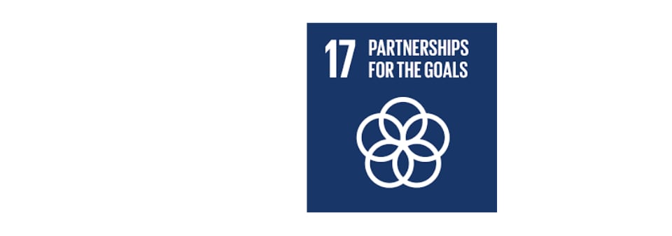 Goal-17-partnerships-for-the-goals | BSI Middle East And Africa