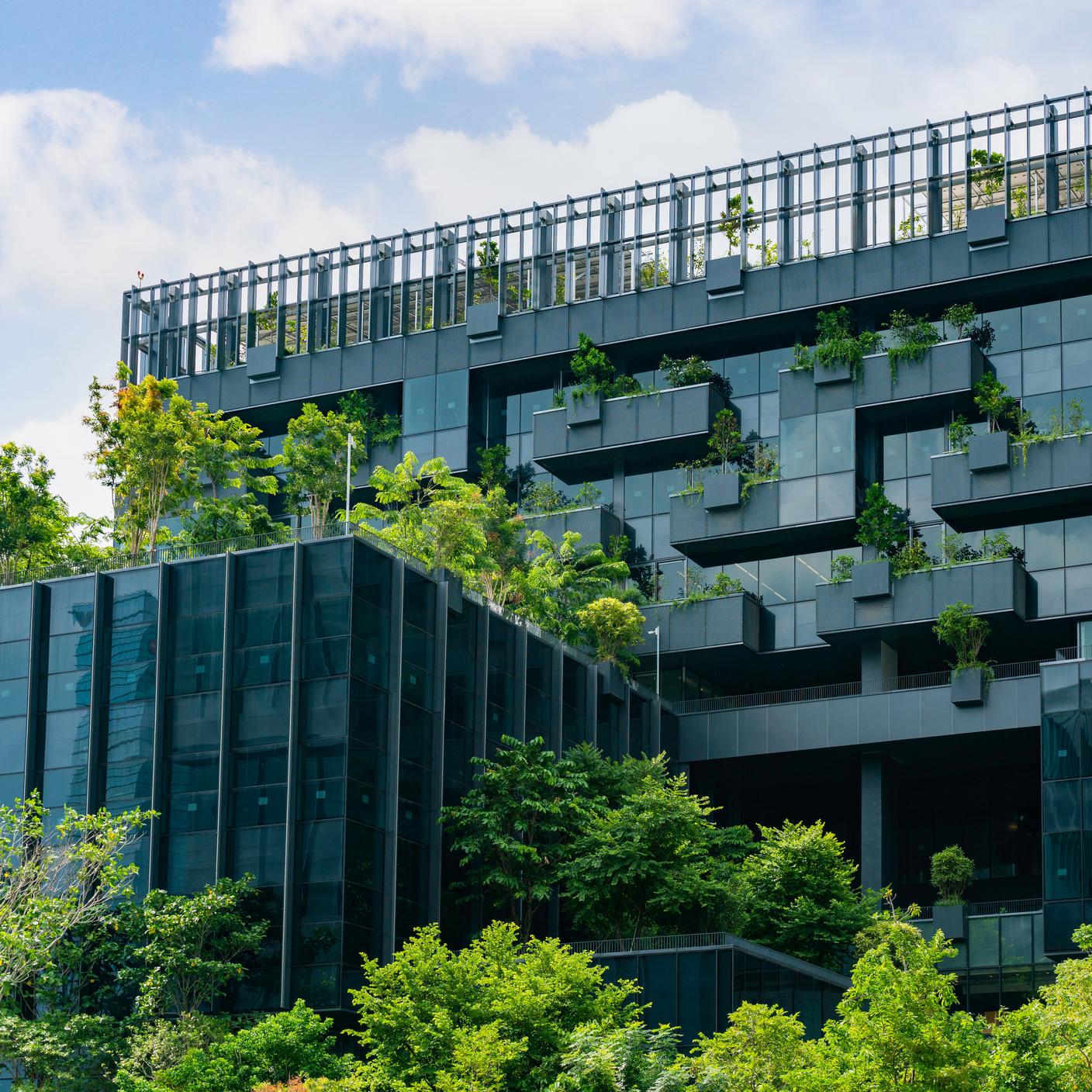 Bâtiment écologique avec jardin vertical