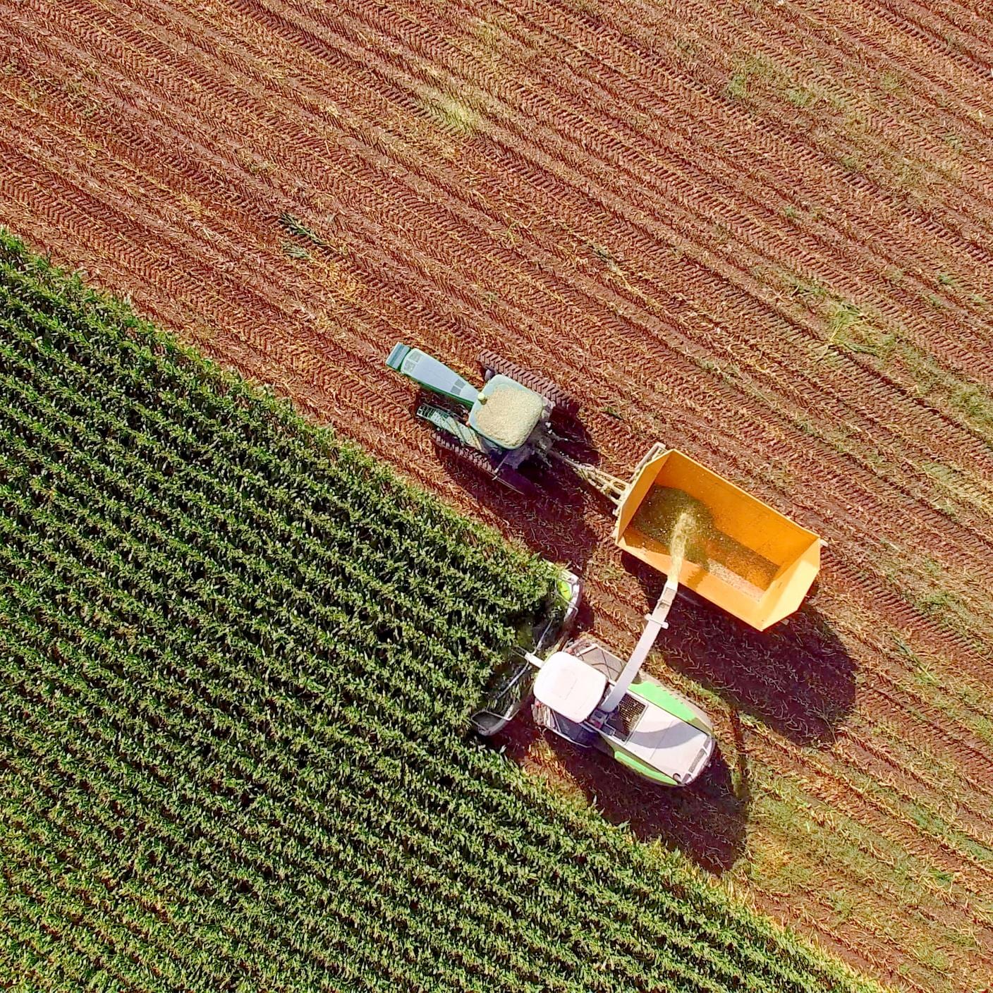 Machines agricoles récoltant le maïs pour l’alimentation animale ou l’éthanol. Toute la plante de maïs est utilisée, il n’y a pas de déchets.