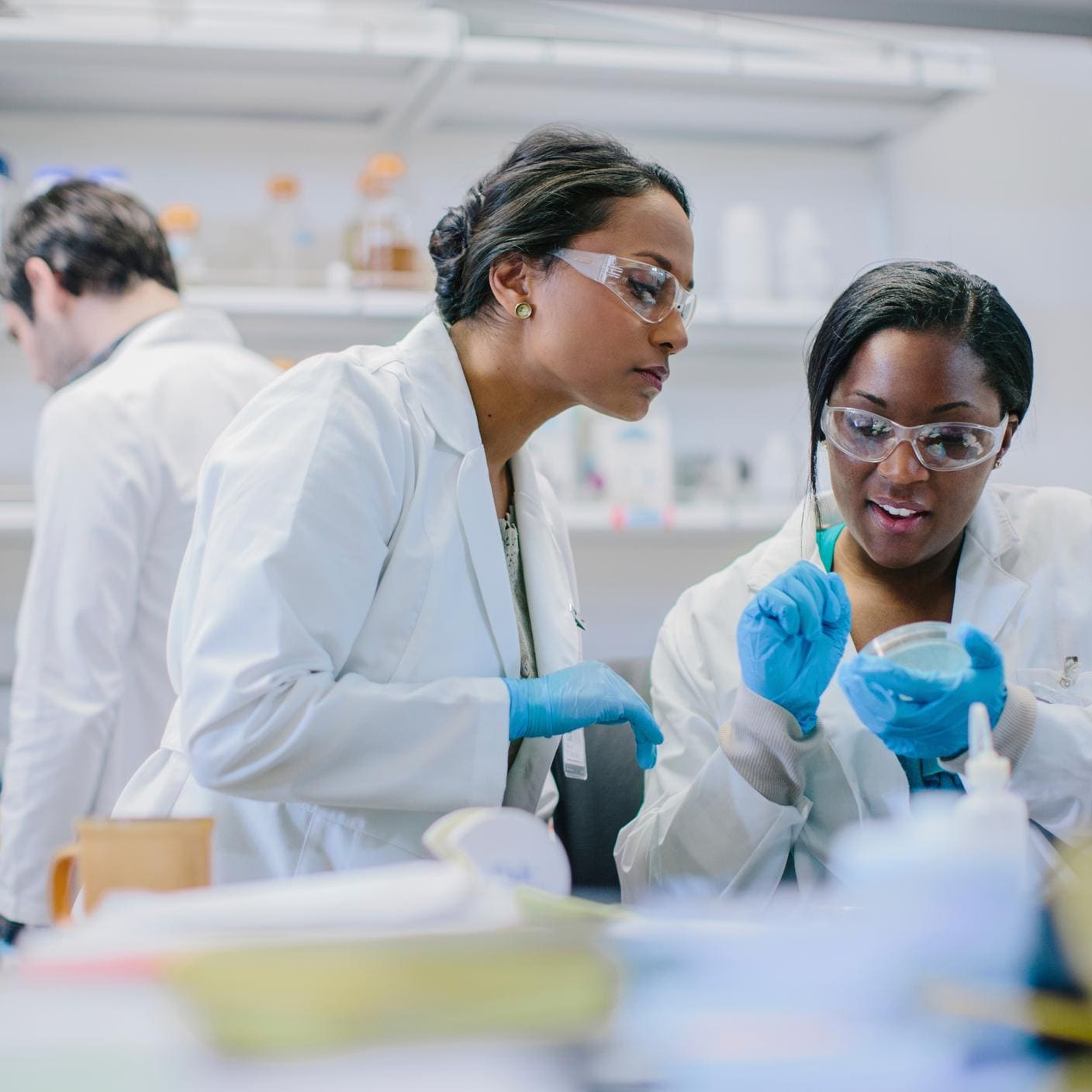 Doctors examining petri dish in laboratory