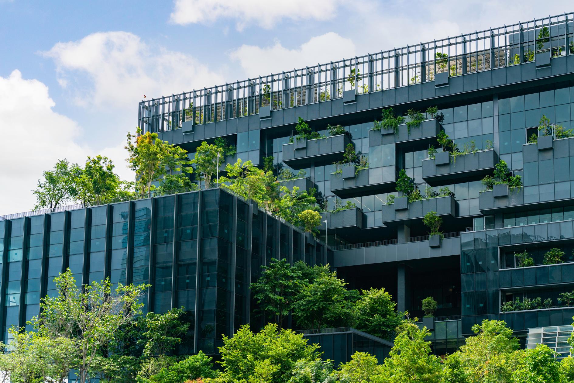 Durabilité : bâtiment écologique avec jardin