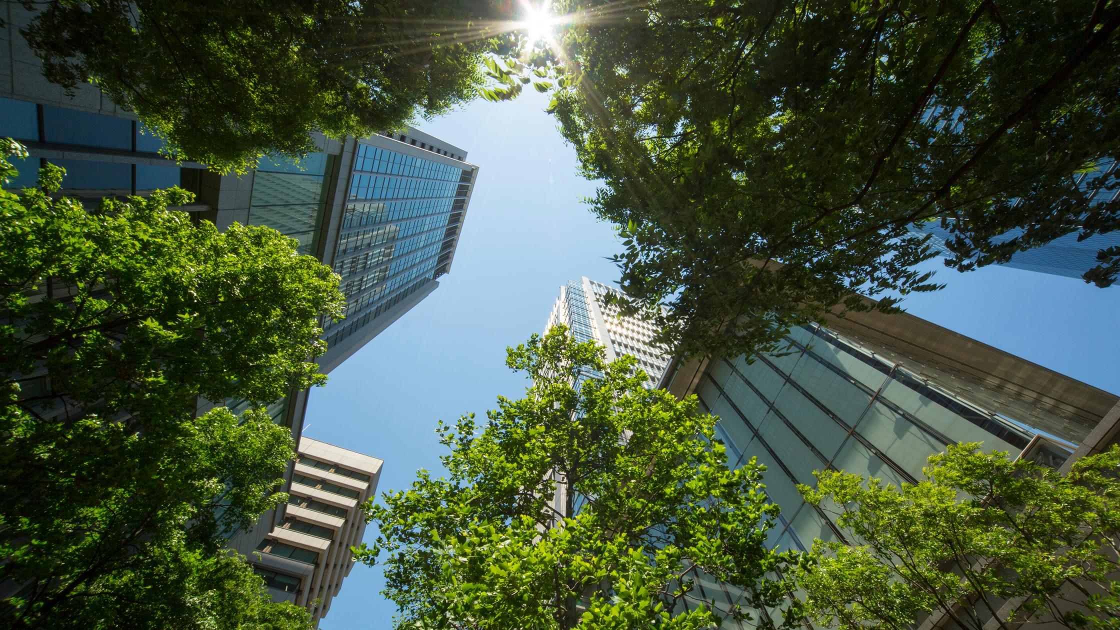 Urban green, low angle view of buildings 