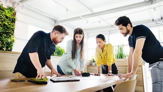 A group of office employees huddling over some documents on a desk while consulting with each other during a business meeting