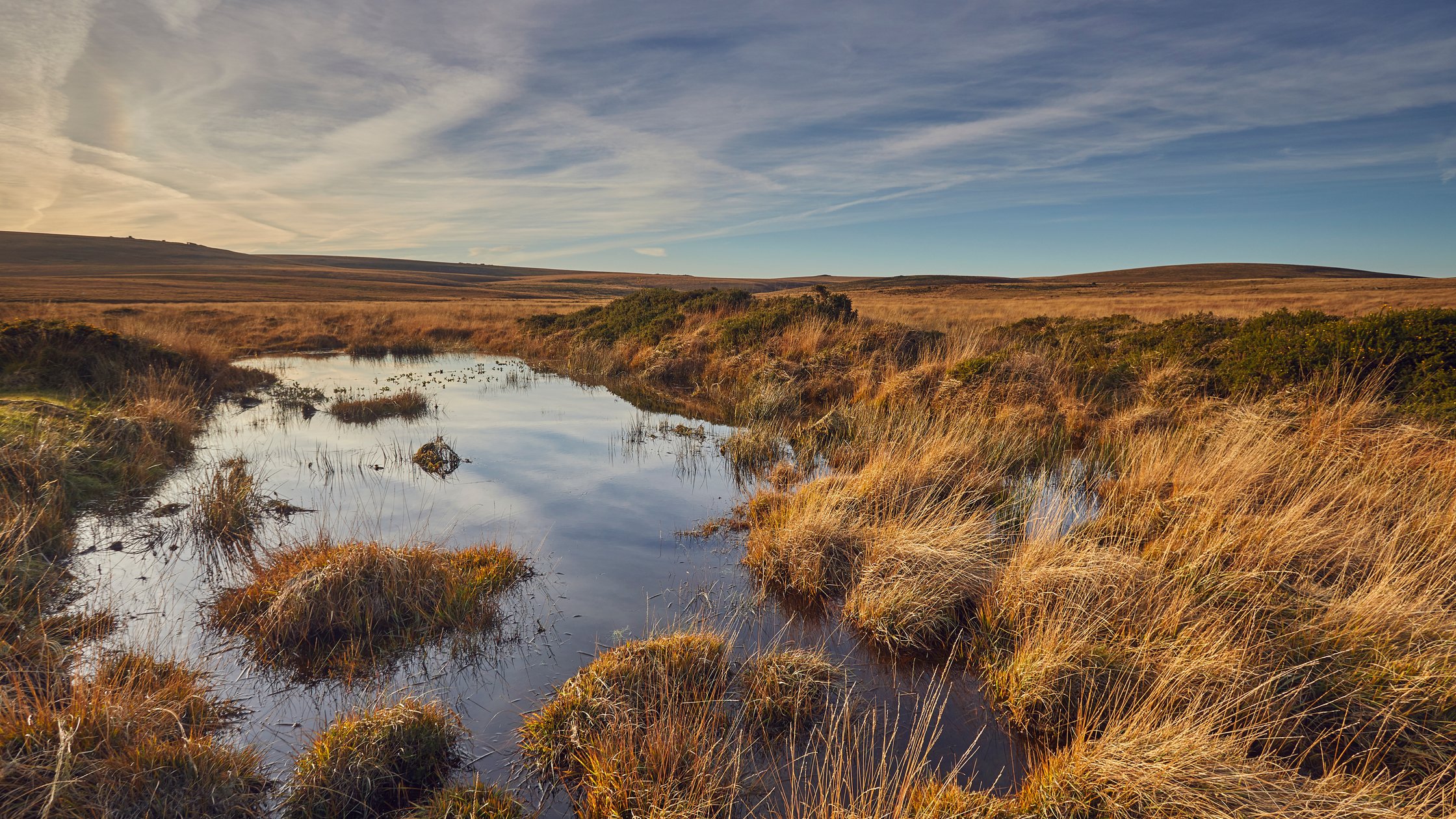 Vue du parc national de Dartmoor, la plus grande zone protégée du sud-ouest de l’Angleterre